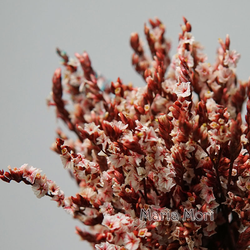 Flower Preservation Resin - 5g/ Colorful Dired Preserved Crystal Grass