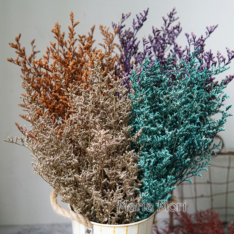70g/Preserved Valentine's Gras - Dried Flower Bulk review and price