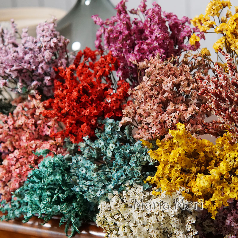 5g/ Colorful Dired Preserved C - Flower Preservation Resin review and price
