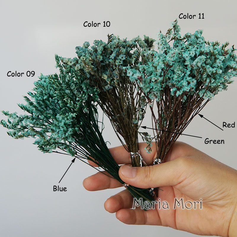 5g/ Colorful Dired Preserved C - Flower Preservation Resin review and price